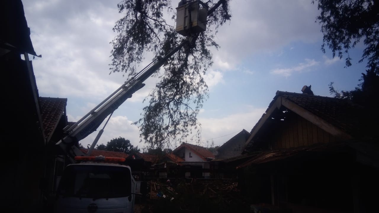 Evakuasi Pohon  Tumbang Di Pasar Wirotaman Kutoarjo