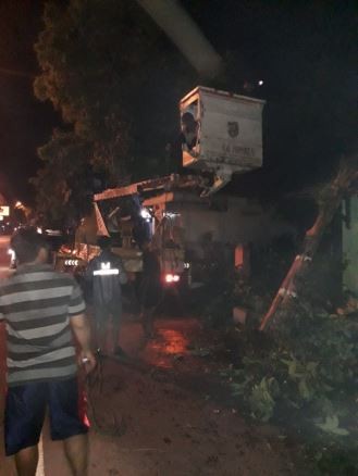 Penanganan Pohon Tumbang Akibat Hujan Lebat Disertai Angin Kencang