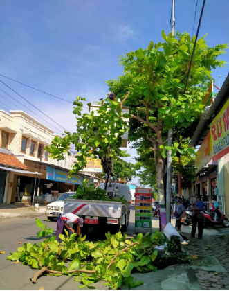 Rabas-rabas Ranting Pohon yang Mengganggu LPJU