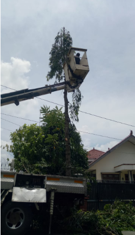 Kegiatan Rabas Pohon di Depan Pukesmas Mranti