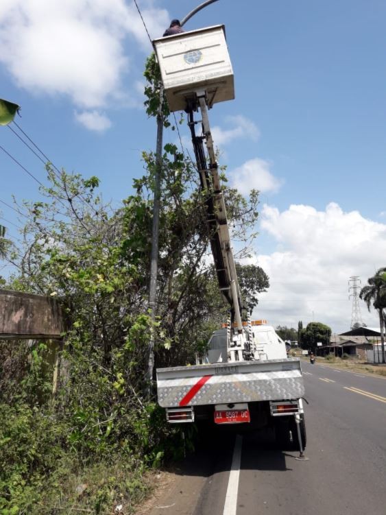 Rabas-Rabas Ranting Pohon Yang Mengganggu Lampu PJU