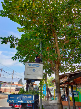 Rabas Ranting Pohon yang Mengganggu Rambu Lalu Lintas