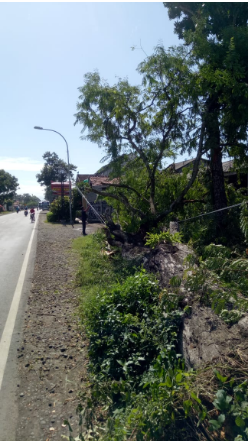 Tertimpa Pohon, Kabel PJU Putus di desa Tunjungtejo